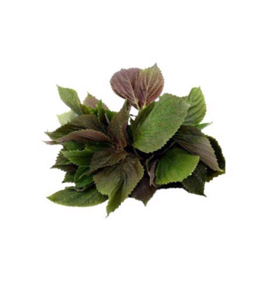  Rau tía tô VietGAP (0.1Kg) 