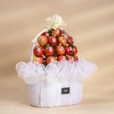  Giỏ Táo Đỏ Envy Tone Trắng Sang Trọng 