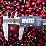  Cherry đỏ Mỹ size 10 (Hộp 200G) - I0004732 