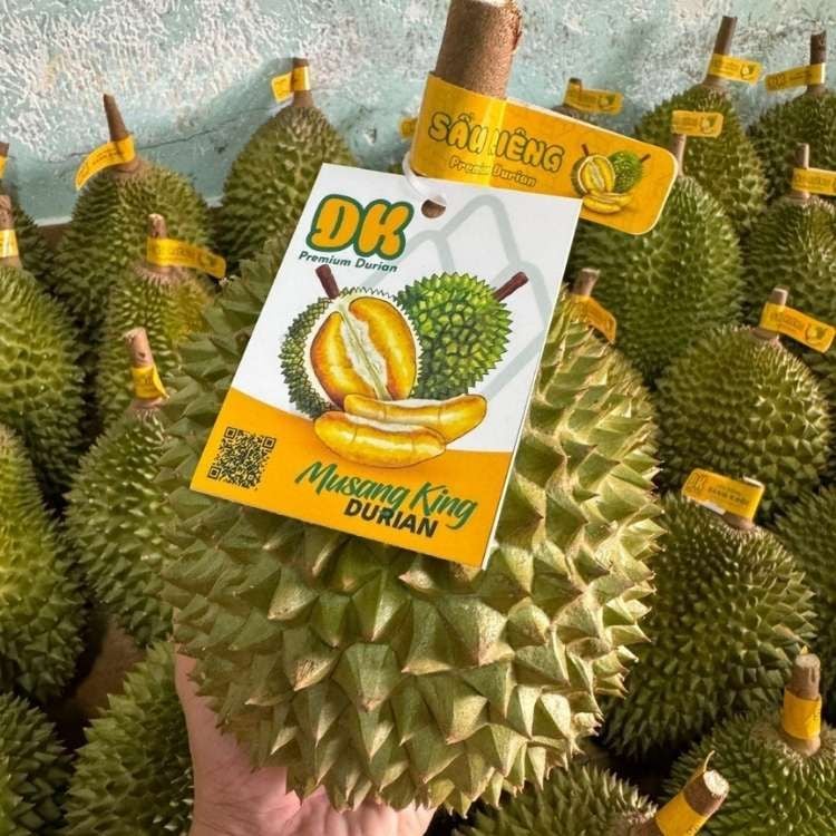  Sầu riêng Musang King Việt Nam 