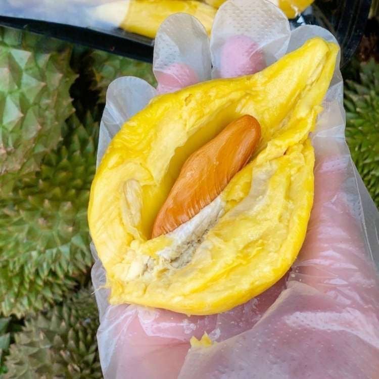  Sầu riêng Musang King Việt Nam 