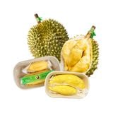  Sầu riêng cơm Ri6 Huỳnh Lâm (W00315) 