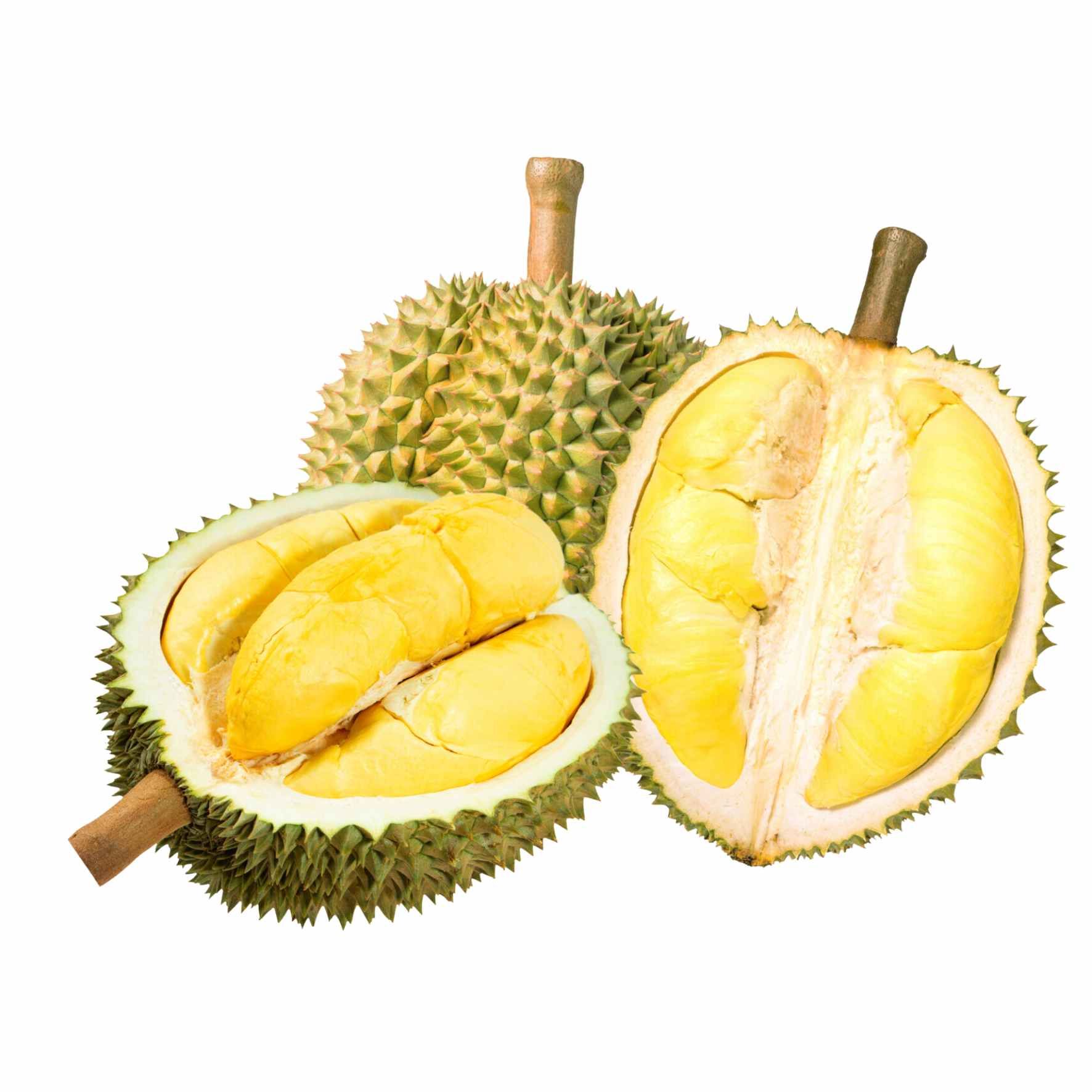  Sầu riêng Ri6 loại 2 