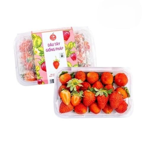  Dâu tây giống Pháp size M Vạn thành 250 g (I0004822) 