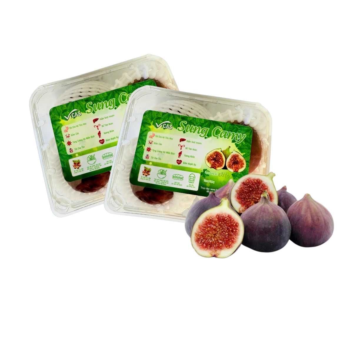  Sung tươi Camy giống Mỹ 