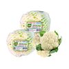 Súp lơ trắng Vietgap Farmers Market