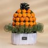 Phần Quà Tangerine Gift Basket G03003 sang trọng tại Farmers Market