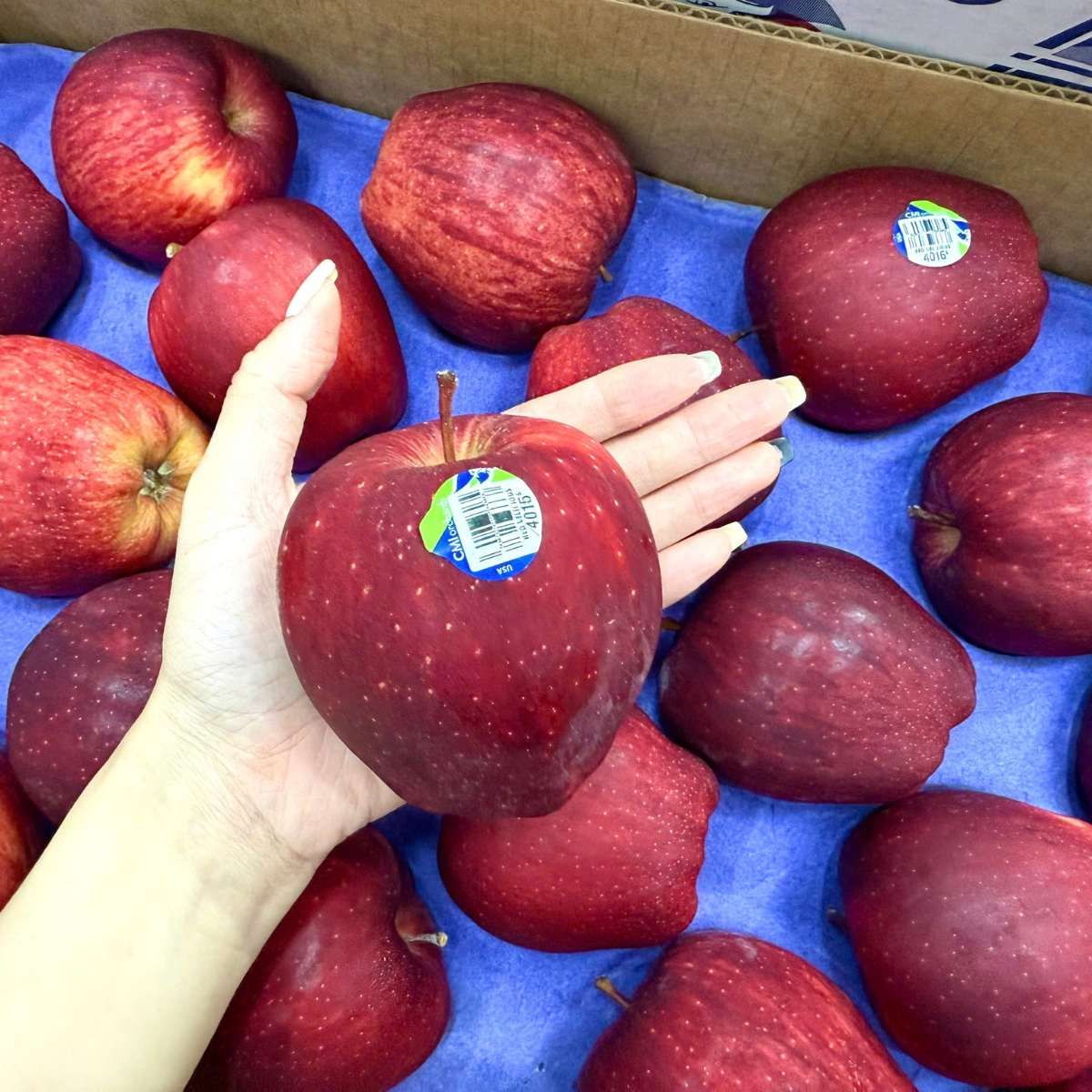  Táo đỏ Red Delicious Mỹ size 44 - 500G 