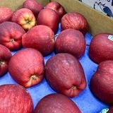 Táo đỏ Red Delicious Mỹ size 44 - 500G 