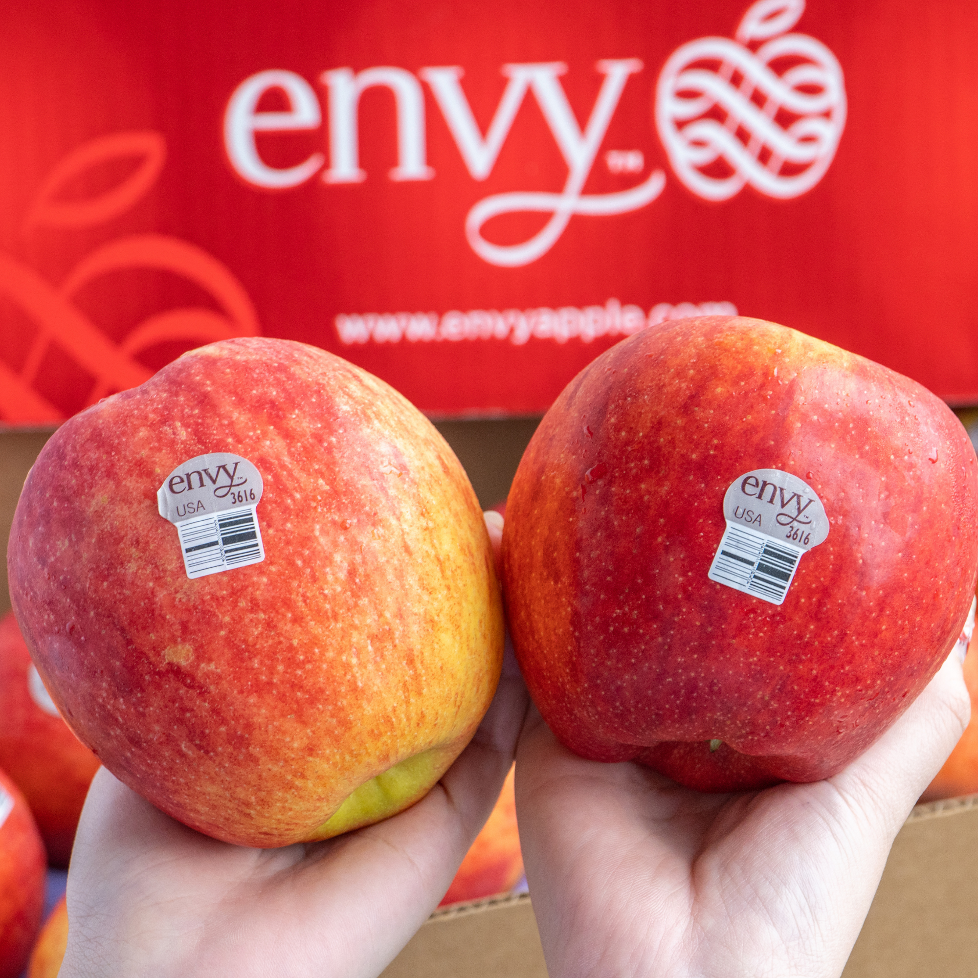  Táo Envy Mỹ size 24 - 28 | 400G/Trái (I0008216) 