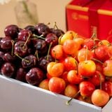  Thùng Cherry Đỏ Và Vàng 2Kg 