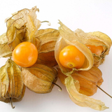  Trái tầm bóp - 250G/Hộp (I0004814) 