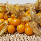  Trái tầm bóp - 250G/Hộp (I0004814) 