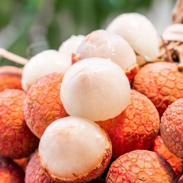  Vải Lục Ngạn Có Cành - 1Kg (I0008006) 