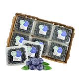  Việt quất Mỹ size Regular (hộp 125g) 