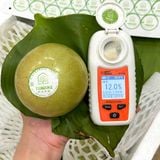  Vú sữa Lò Rèn trắng (1KG) 