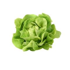 Xà lách mỡ hữu cơ Food King tại Farmers Market