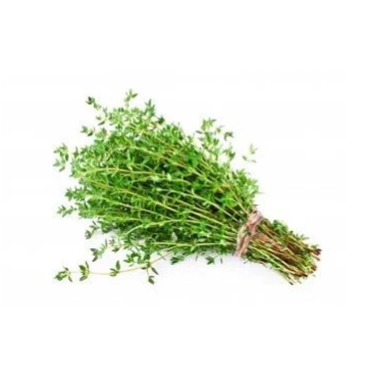  Xạ hương Thạch Điền 50 g (I0013735) 