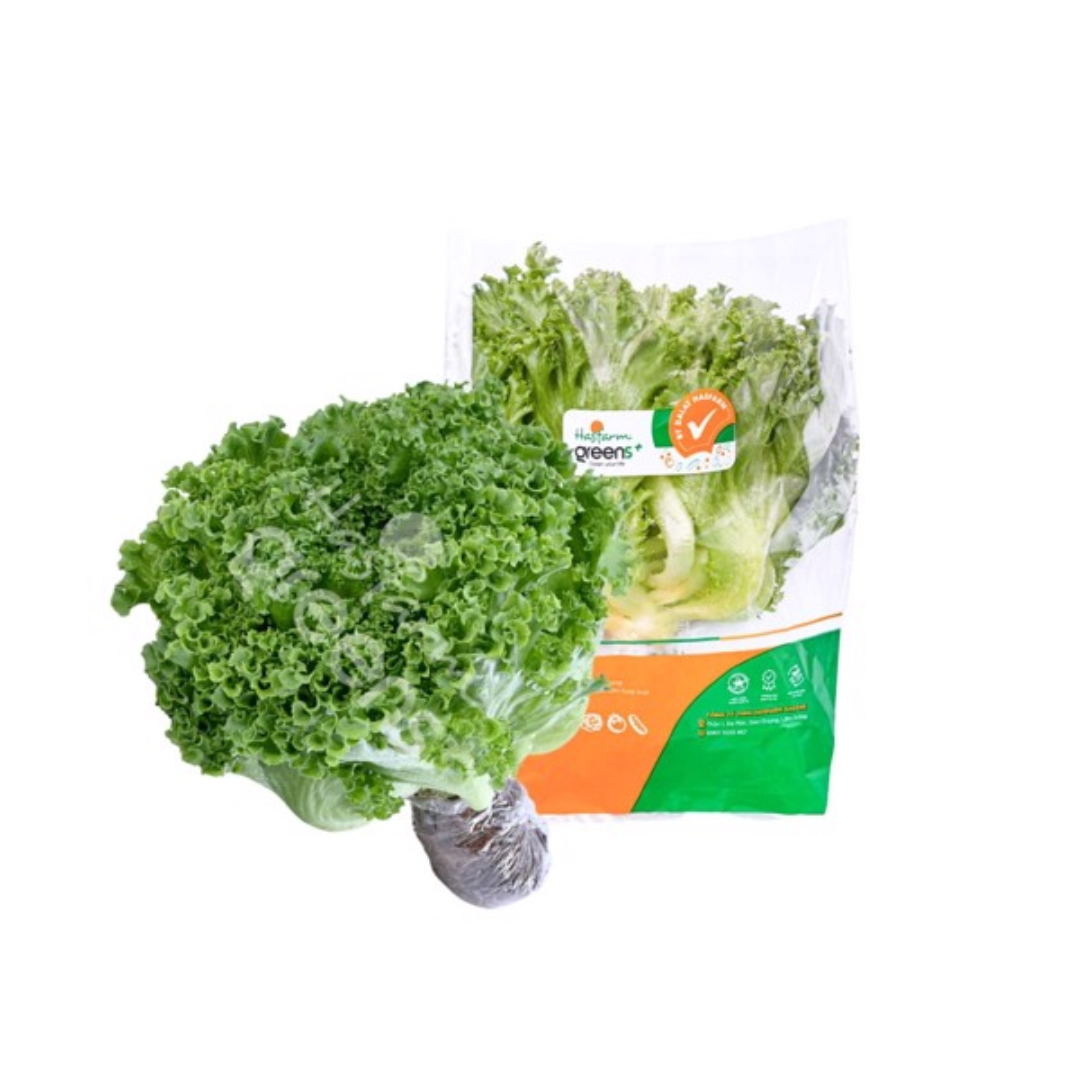  Xà lách Crispy thủy canh chuẩn an toàn quốc tế Hasfarm - 250G 
