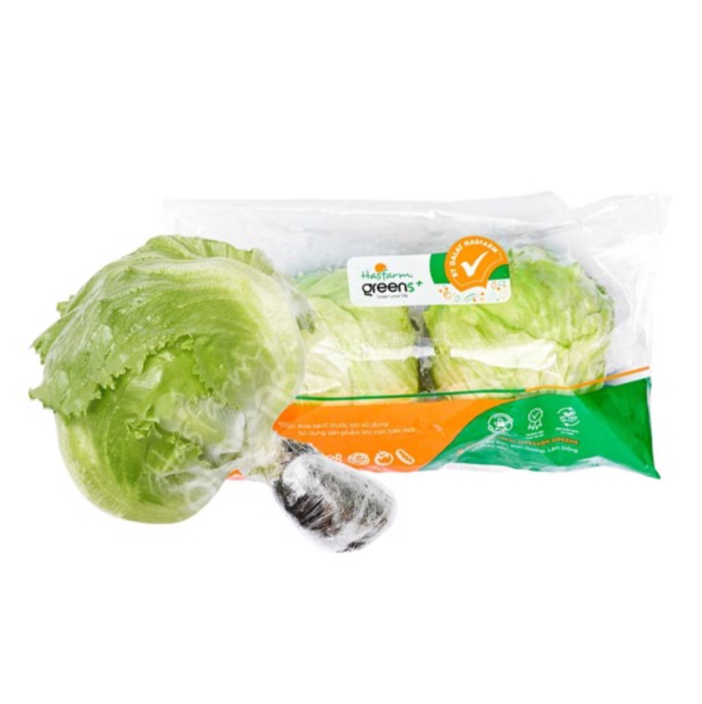  Xà lách Iceberg thủy canh Globalgap Hasfarm - 350G 