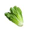 Xà lách Roman xanh hữu cơ Farmers Market