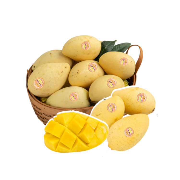  Xoài cát chu loại 1 (I0004839) 