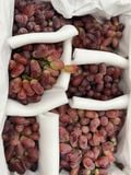  Nho đỏ Crimson nội địa Trung - 1KG (I0013237) 