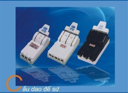 Cầu dao đế sứ 2PHA 60A (CỰC ĐÚC)