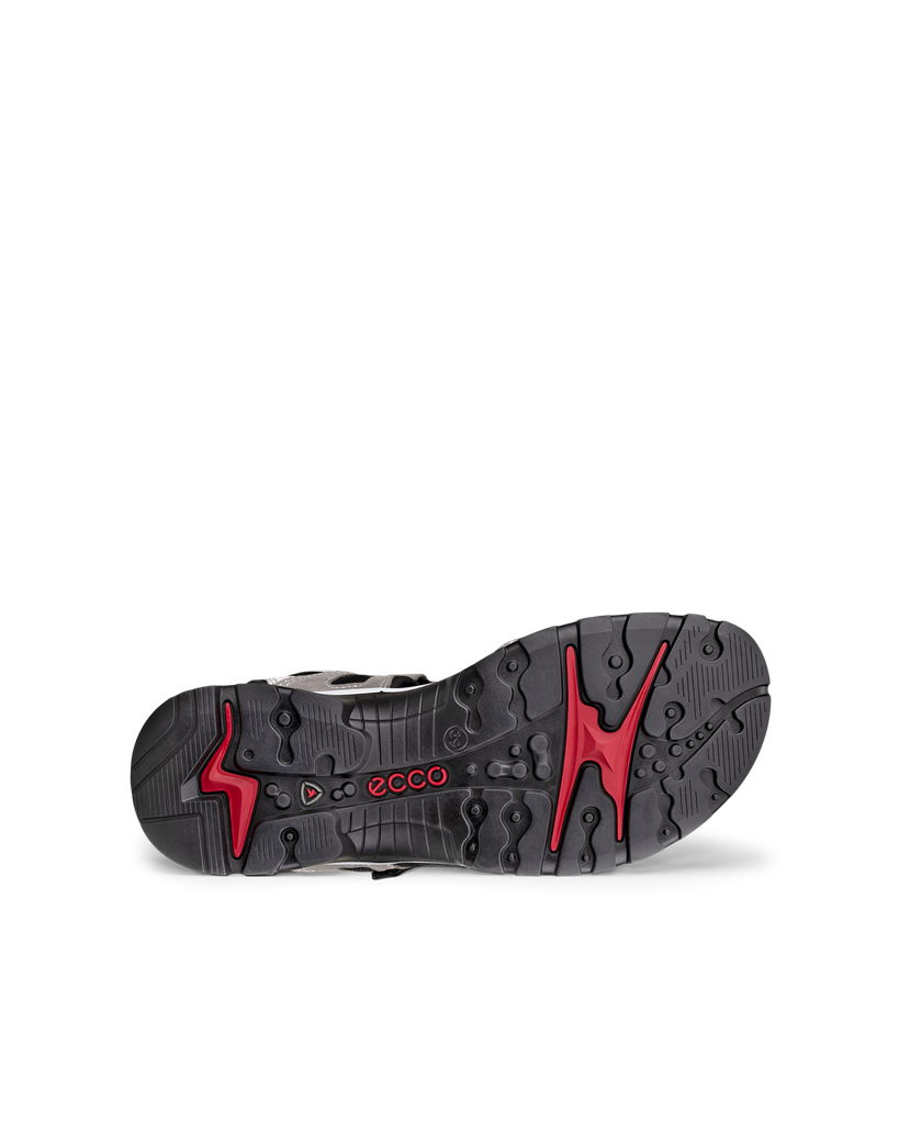 ECCO Offroad W