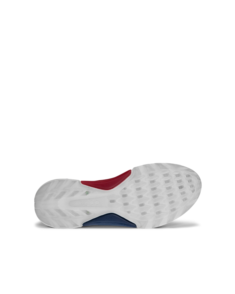 ECCO M Golf Biom C4