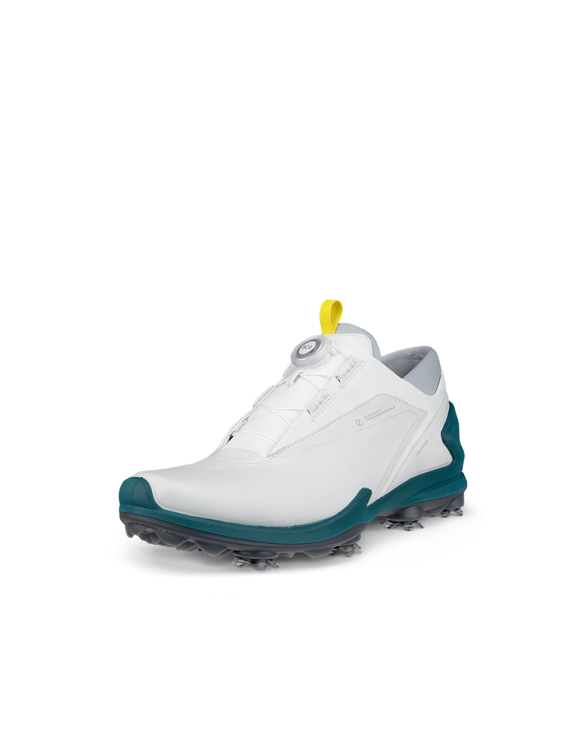 ECCO M Golf Biom Tour