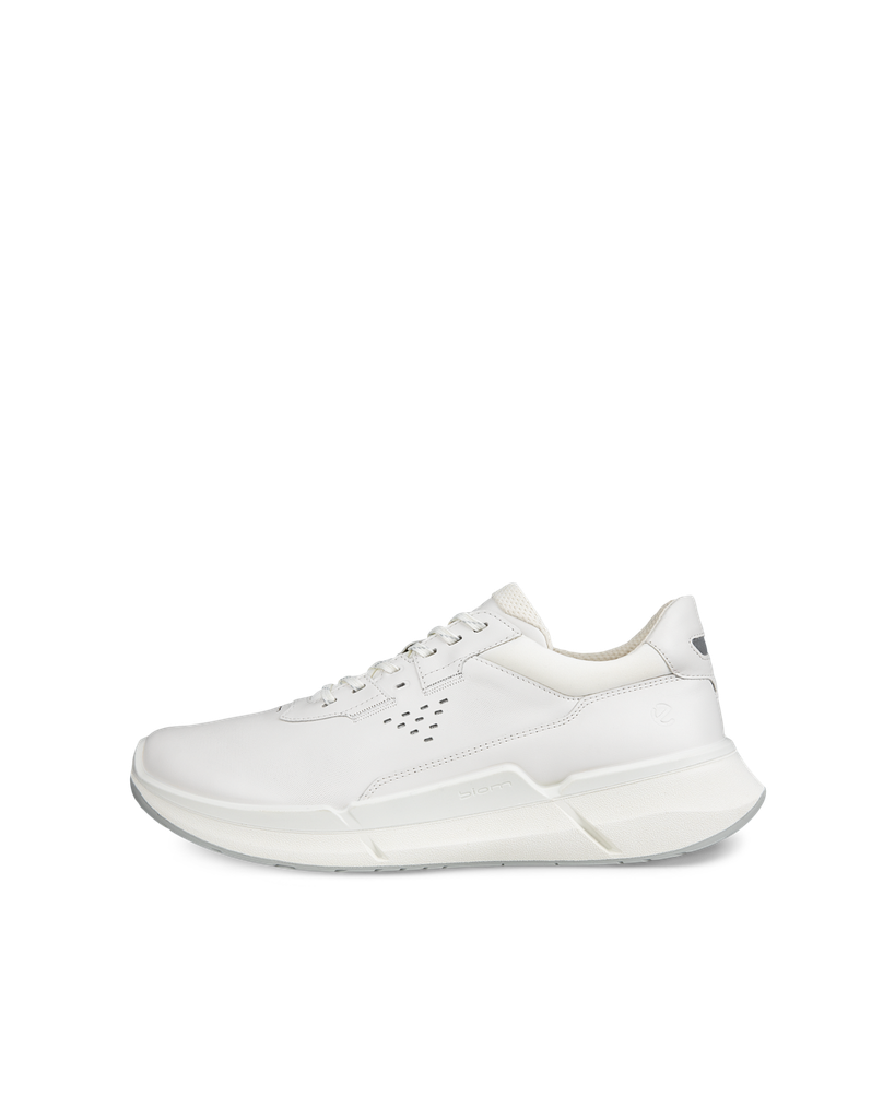 ECCO Biom 2.2 M