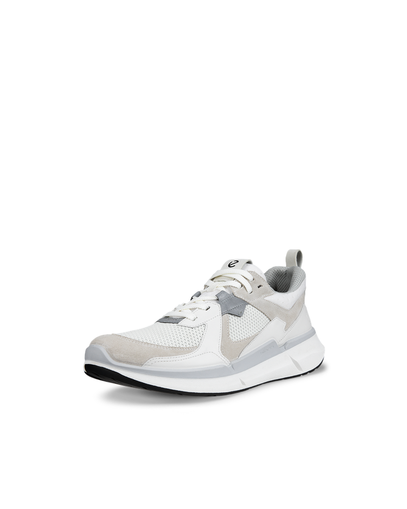 ECCO Biom 2.2 M