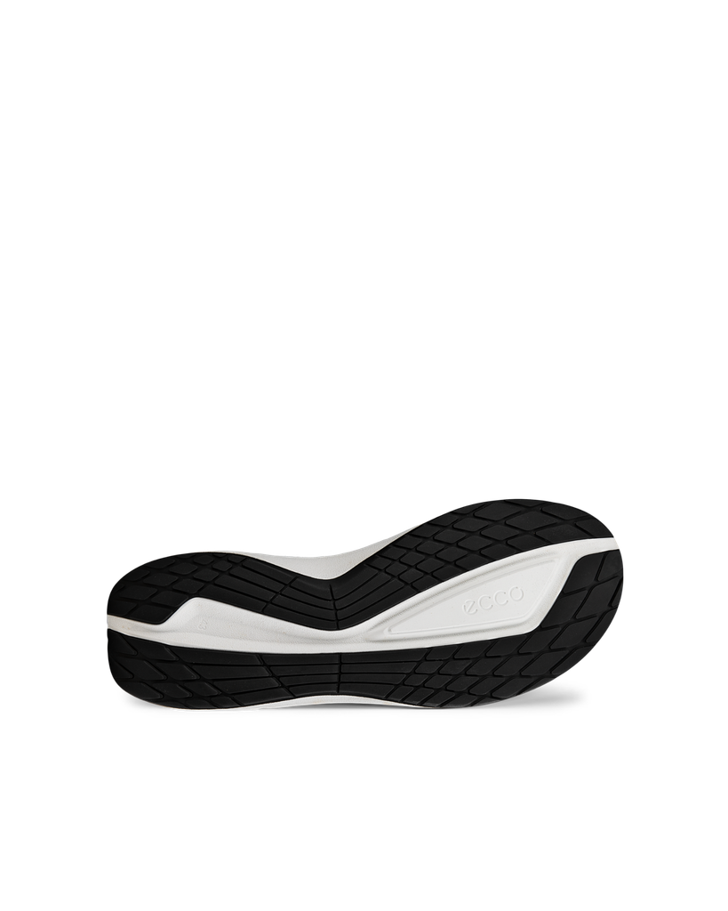 ECCO Biom 2.2 M