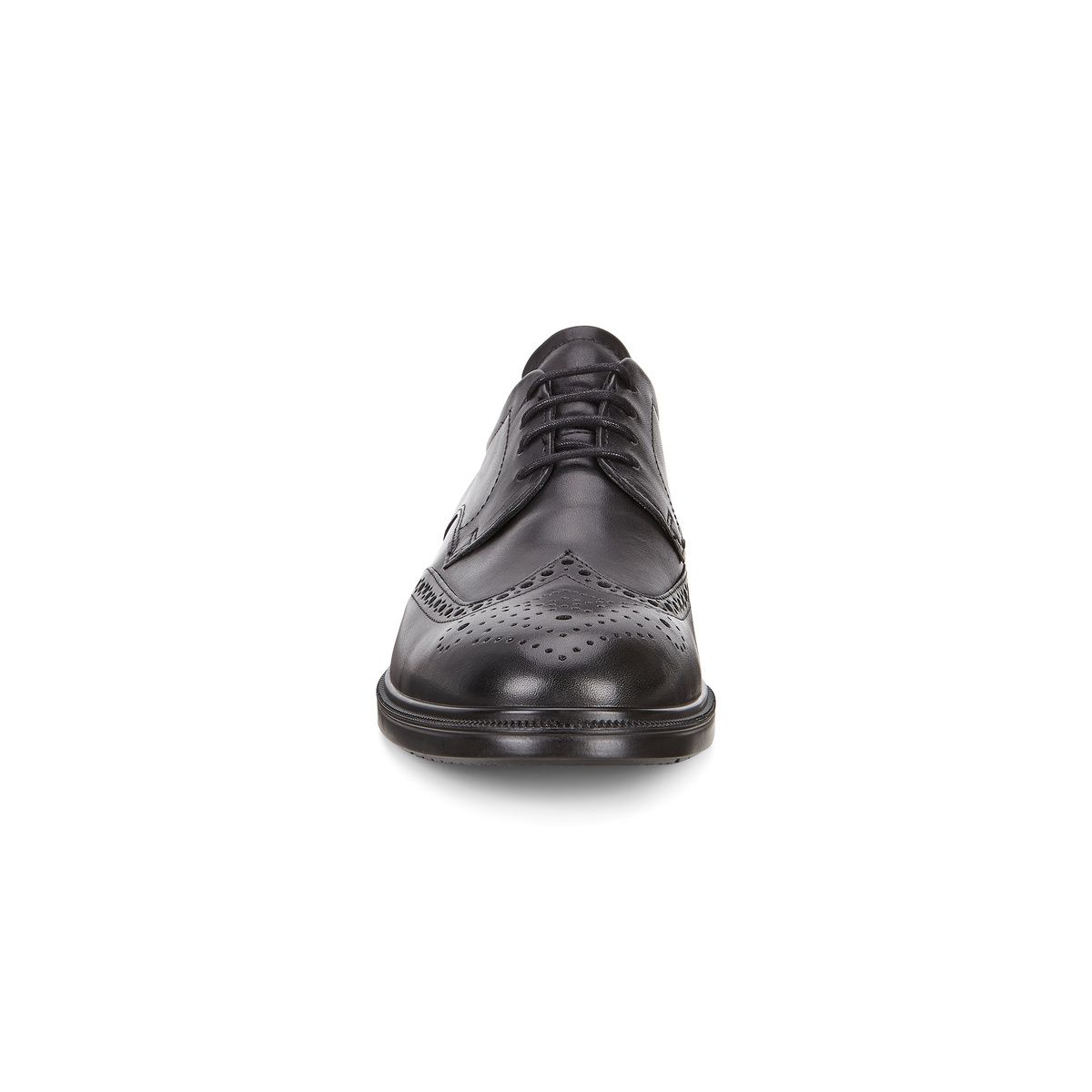 Ecco lisbon wingtip outlet