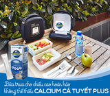  Calcium cá tuyết plus Nhật bản 