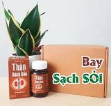  Thận Bách Bảo 