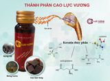  Cao Lực Vương 