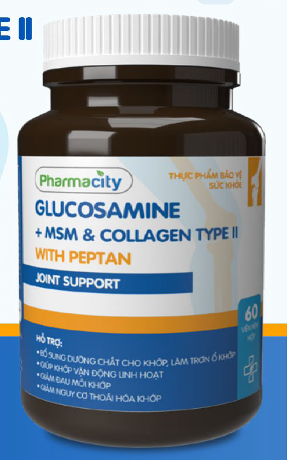 GLUCOSAMINE + MSM & COLLAGEN TYPE II WITH PEPTAN JOINT SUPPORT