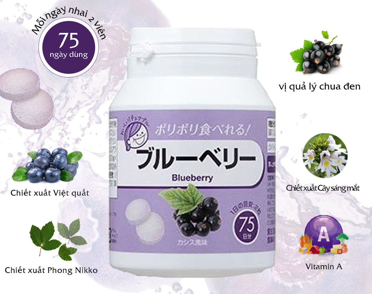Bilberry Containing Processed Food Blueberry Chewable tablet