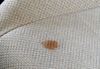 Chai Xịt Vệ sinh Ghế Nỉ Xe Ô Tô - New Fabric Seat Cleaner | Soft99 - Made in Japan | L-28