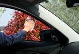 Khăn Vệ Sinh, Chống Sương Mù Kinh Ô Tô - Glass Cleaning Wipe ( Anti- Fog) | Soft99 - Made in Japan | G-43