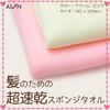 Khăn PVA lau tóc - Hair Dry Towel Aion - Made in Japan | 871-P