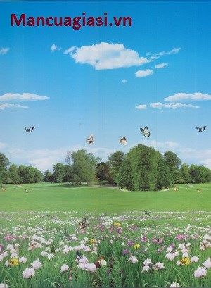 Màn Cuốn Tranh CT016B