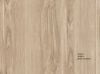 GDT Vân Gỗ Cuộn 15m²