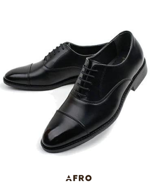 GD Oxford Hàn Quốc (2 Màu) 1650