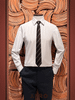 Cravat thắt sẵn - 11499