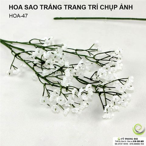  Cành Hoa sao trắng 58cm 3 nhánh trang trí chụp hình sản phẩm HOA-47 