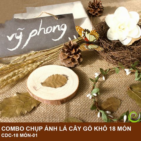  SET COMBO CHỤP ẢNH LÁ CÂY KHÔ 18 MÓN CDC18MON-01 