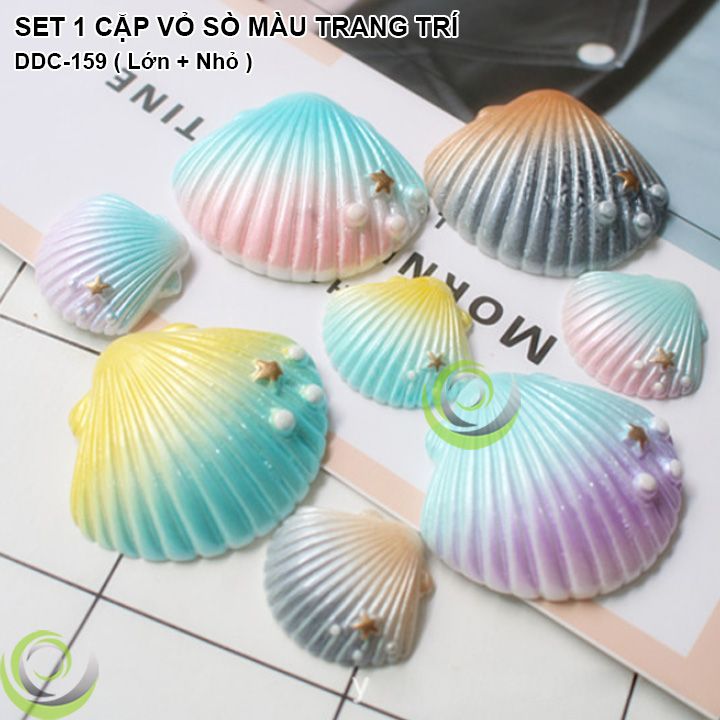 SET 1 CẶP VỎ SÒ MÀU TRANG TRÍ CHỤP ẢNH SẢN PHẨM INS DDC-159 – Vỹ Phong